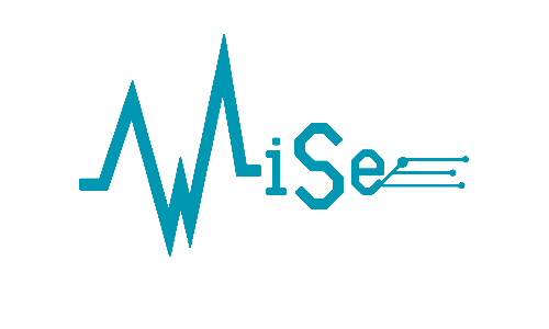WiSe Logo